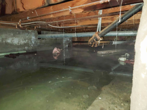 Best Emergency water damage restoration  in Sebring, FL