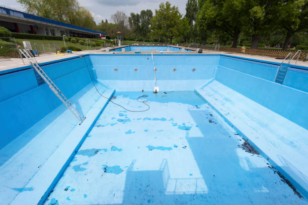 Best Local water damage restoration  in Sebring, FL